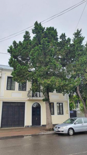 Batumi Homestay